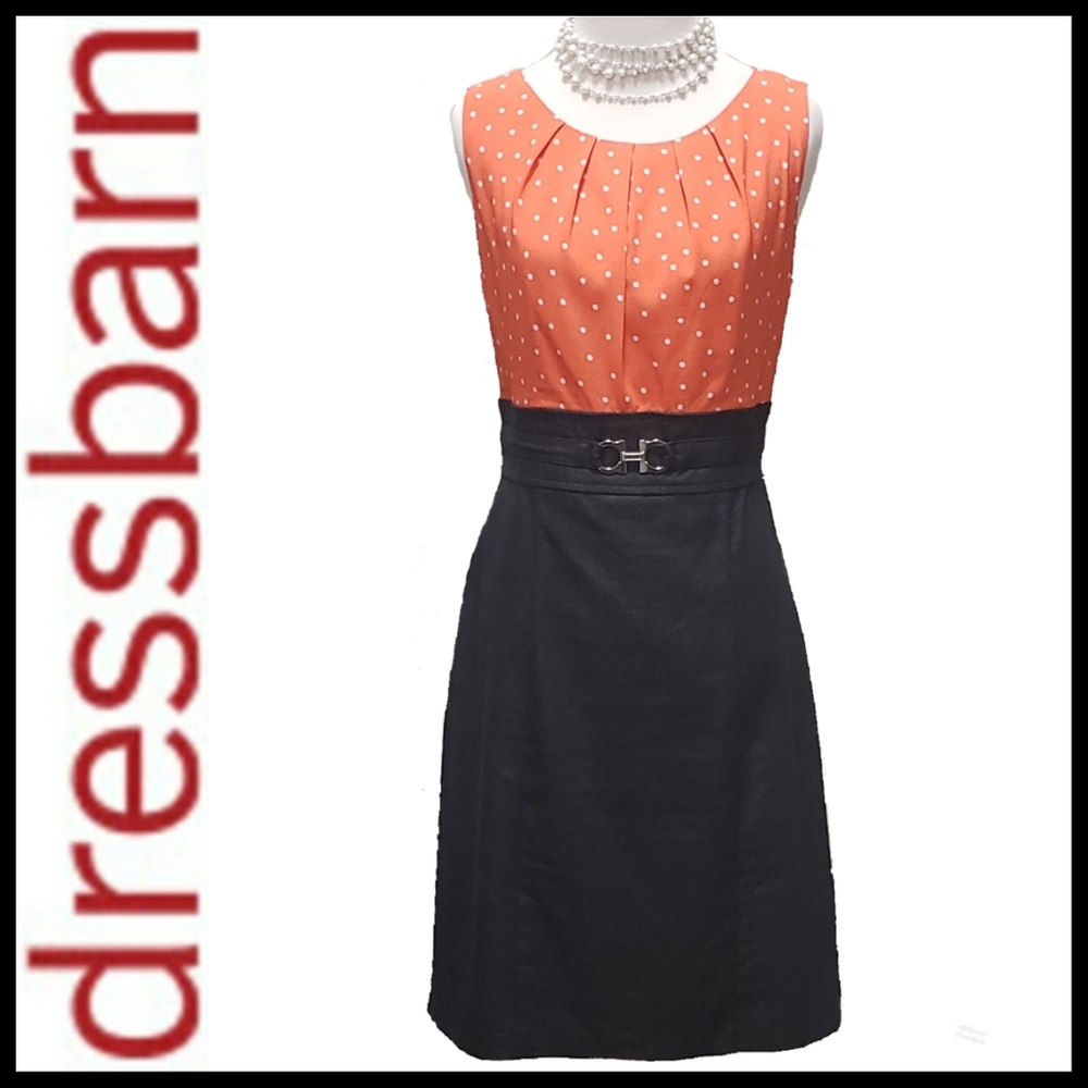 Dress Barn Sheath Dress